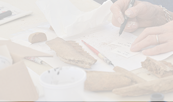 animal bones on table person writing label